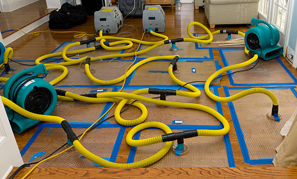 Professional Sewage Cleanup technician working in Warren, MN